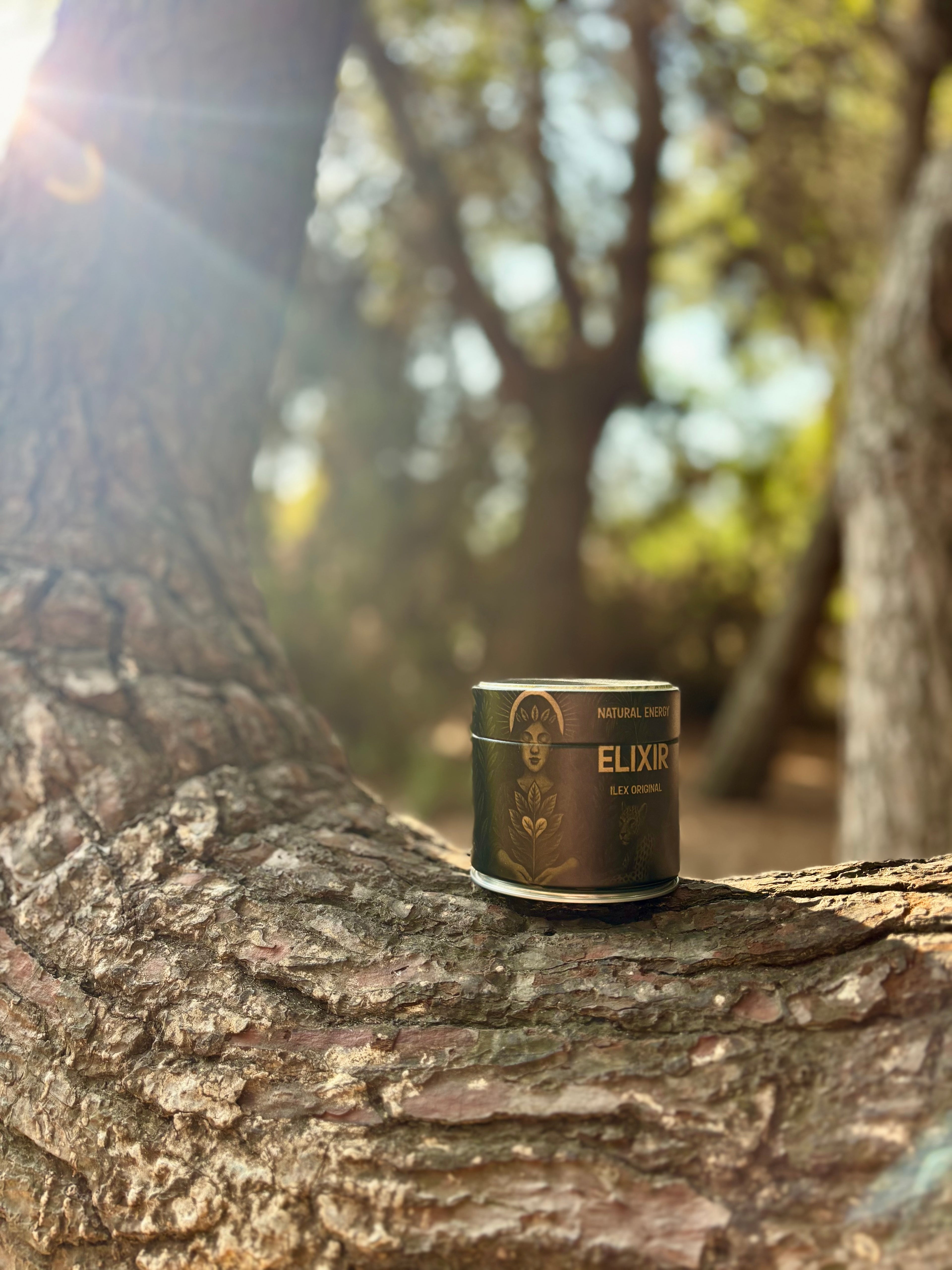 yerba mate orgánica en polvo