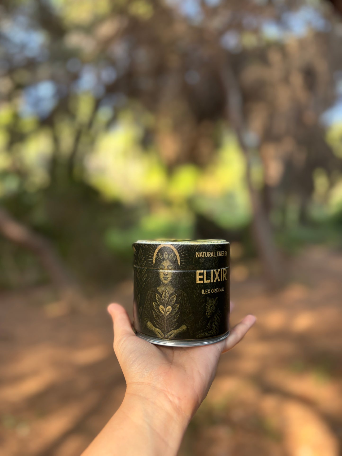 yerba mate orgánica en polvo