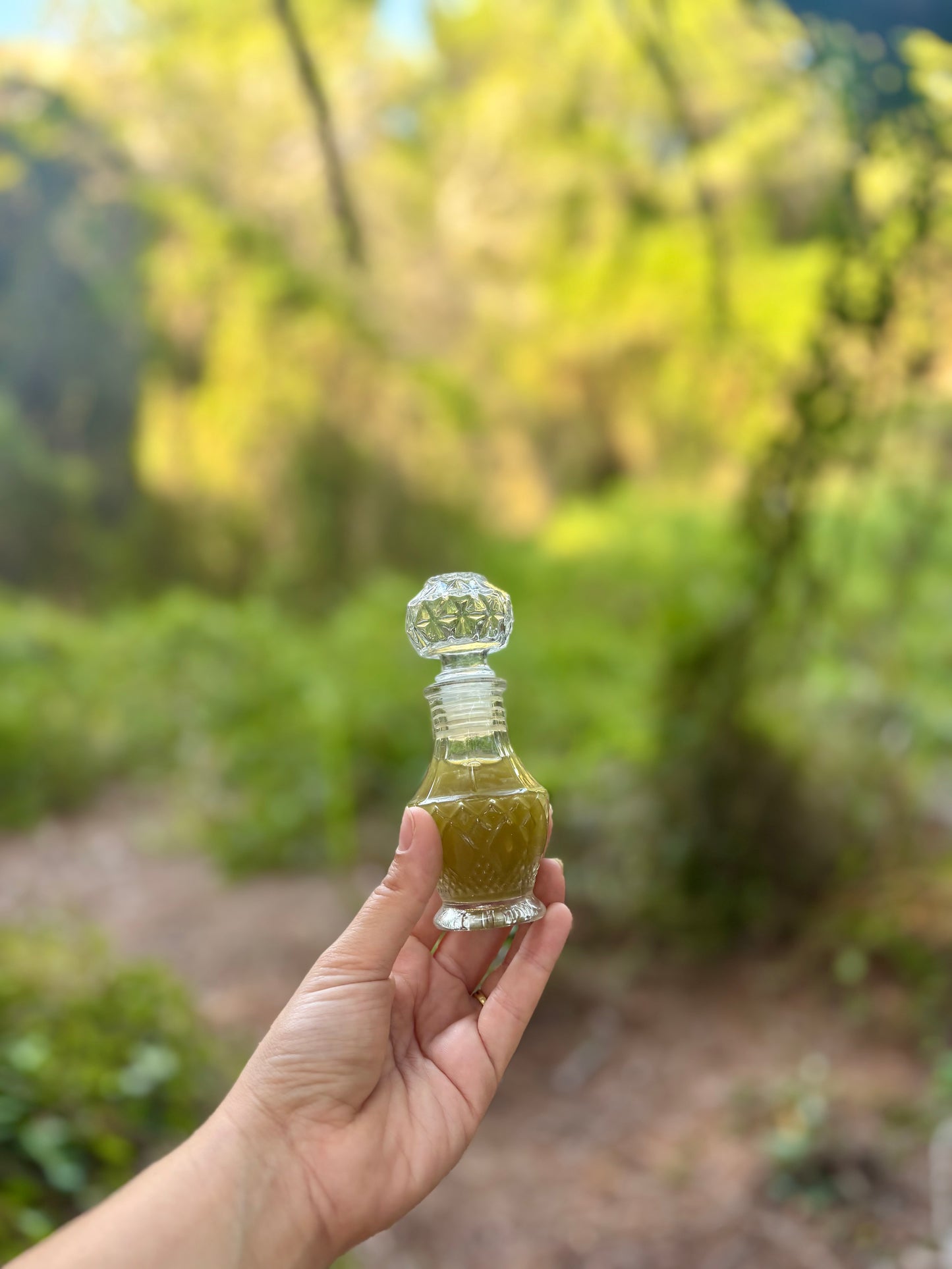 Elixir Ilex Frutos del Bosque – Yerba Mate Orgánica en Polvo con Aroma Natural de Frutos Rojos (100 g)