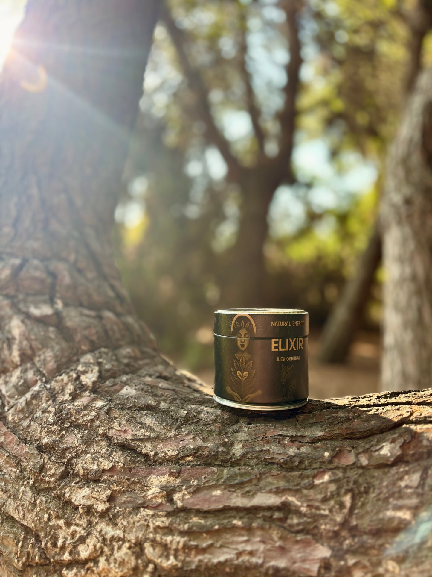 yerba mate orgánica en polvo
