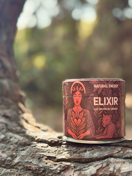 Elixir Ilex Frutos del Bosque – Yerba Mate Orgánica en Polvo con Aroma Natural de Frutos Rojos (100 g)