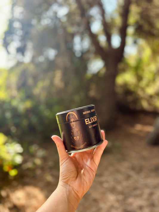 Yerba mate en polvo